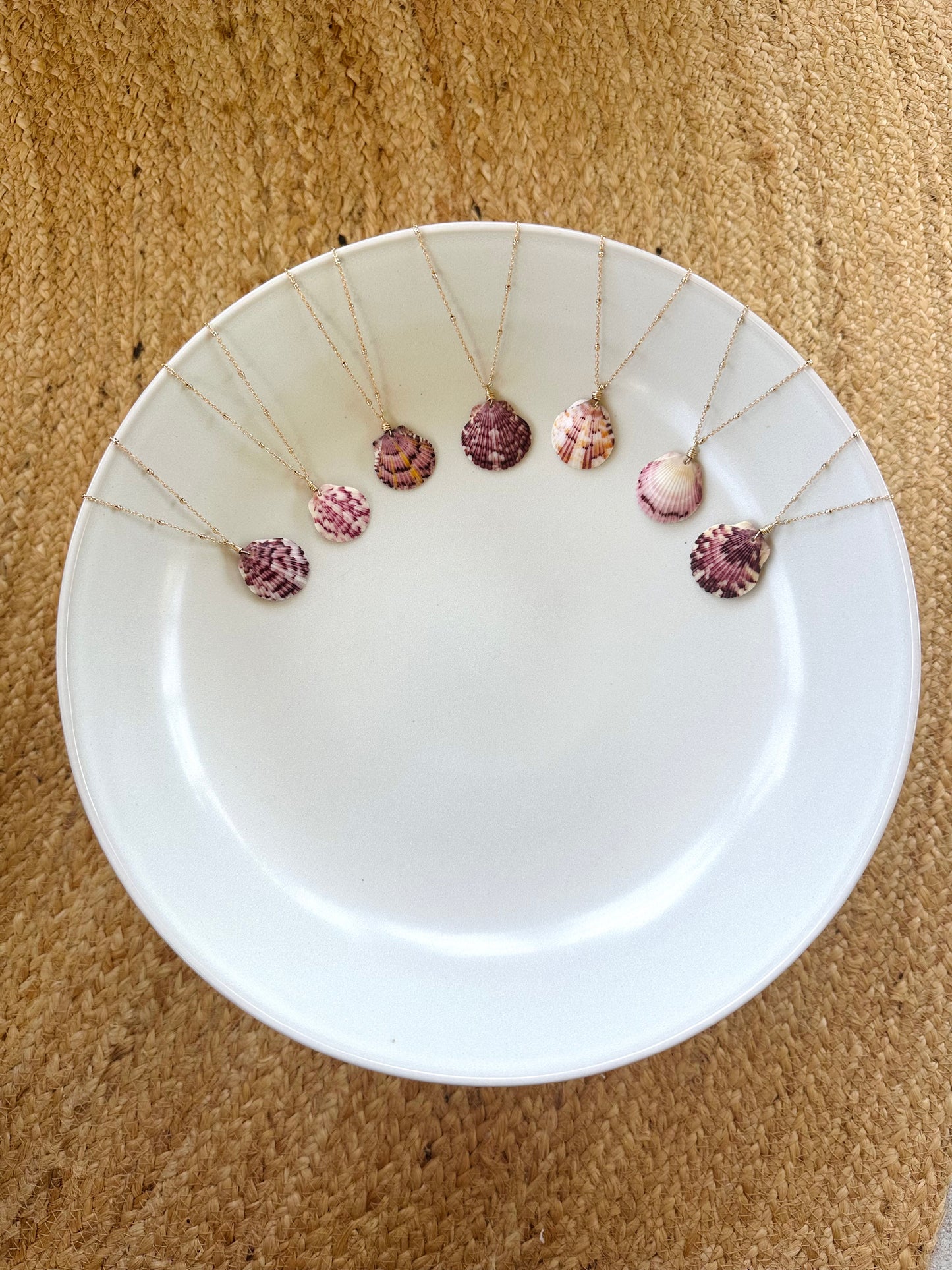 Scallop Shell on Gold Filled Chain