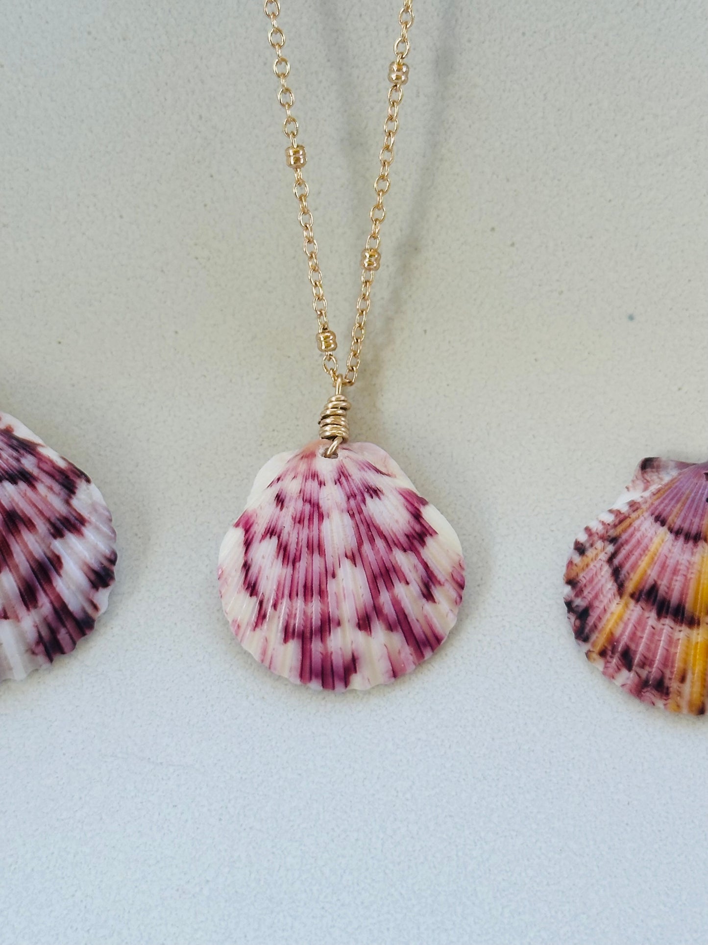 Scallop Shell on Gold Filled Chain