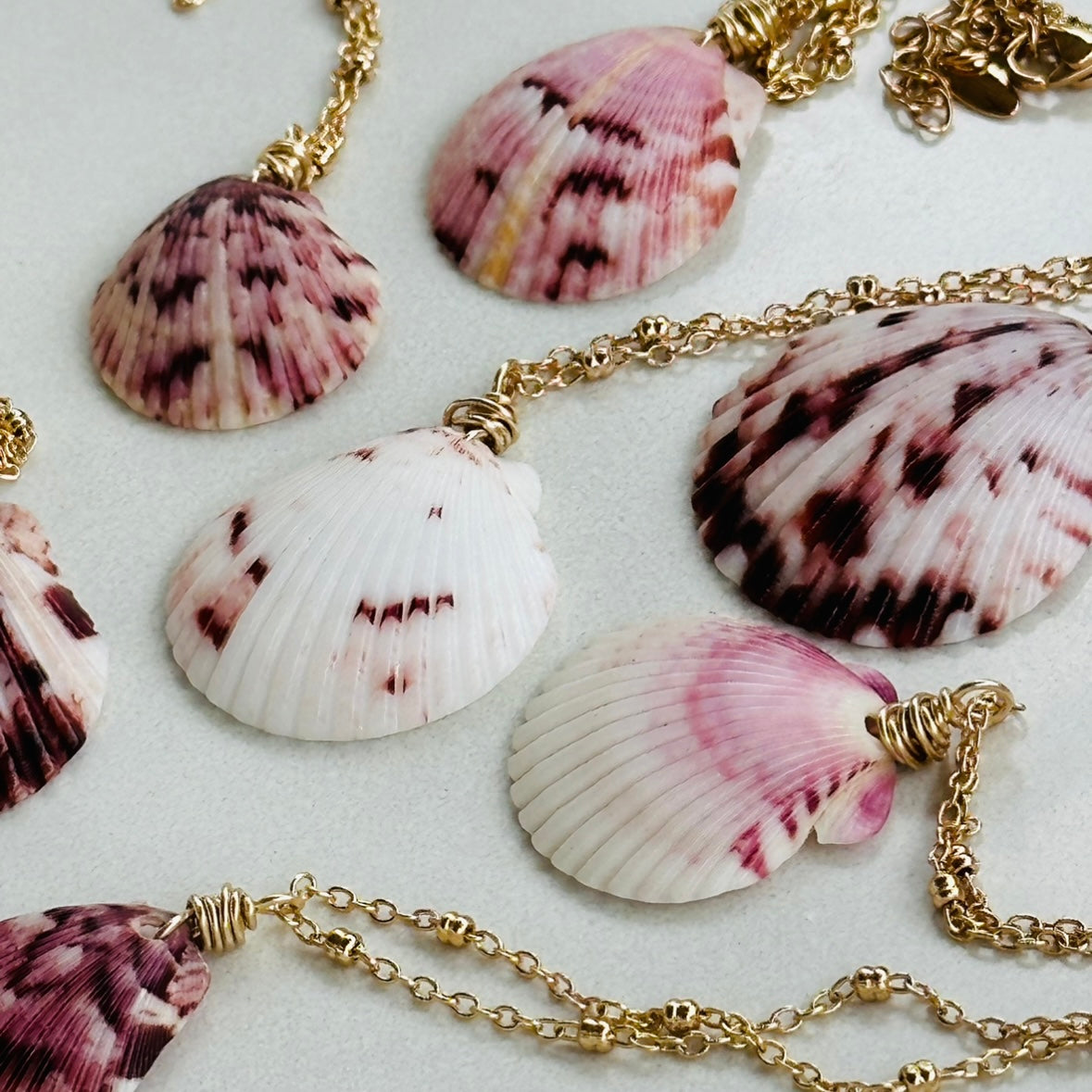 Scallop Shell on Gold Filled Chain