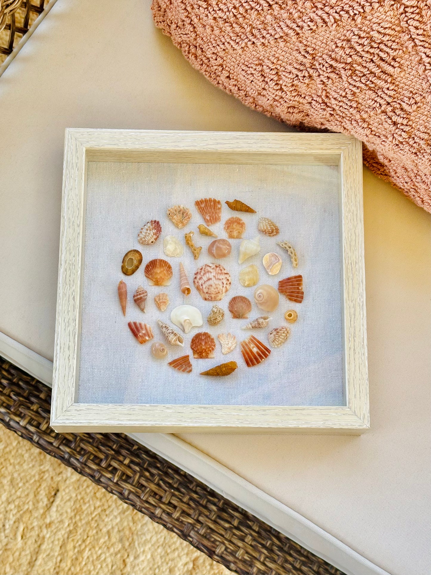 9x9 Orange “Round” Florida Seashell Shadow Box