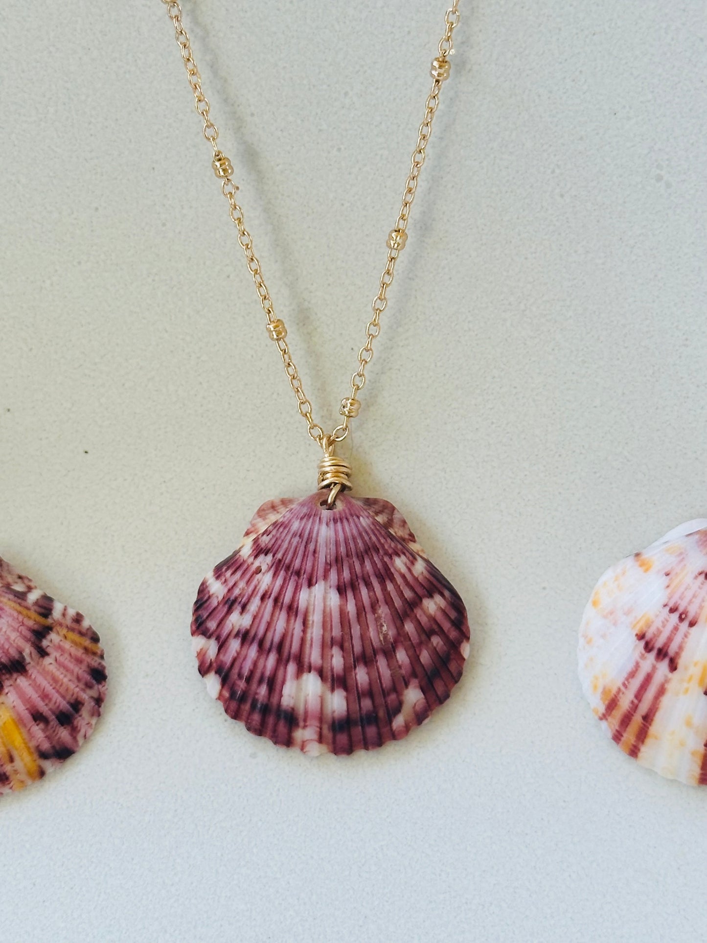 Scallop Shell on Gold Filled Chain