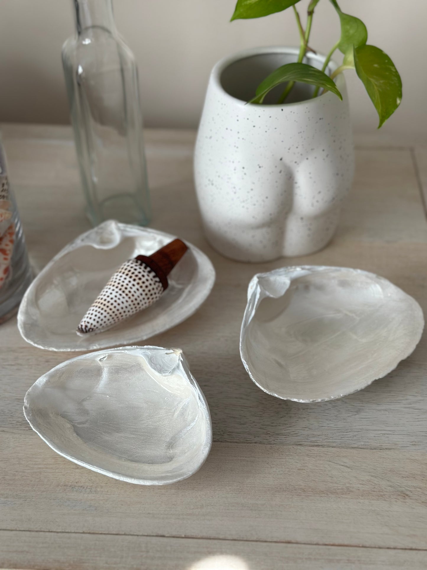 New England Clam Trinket Dish