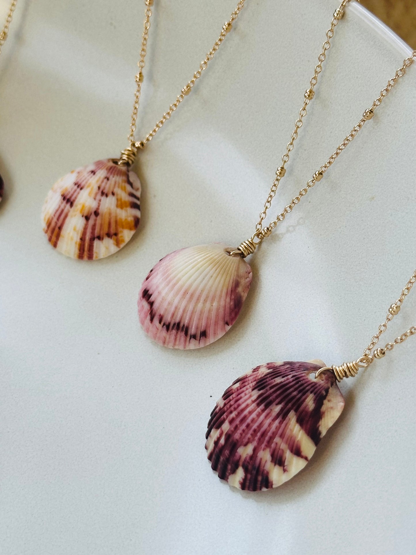 Scallop Shell on Gold Filled Chain