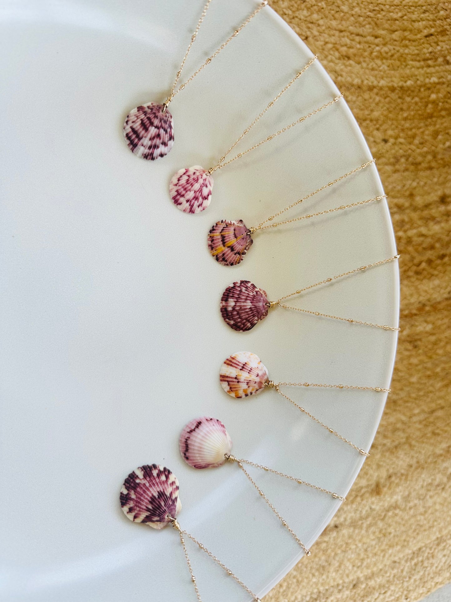 Scallop Shell on Gold Filled Chain