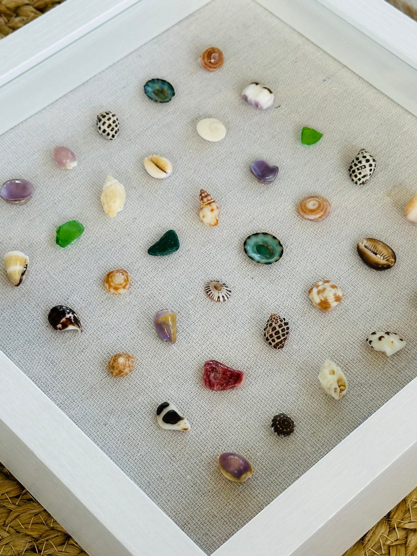 9x9 Hawaii Micro Shell Shadow Box