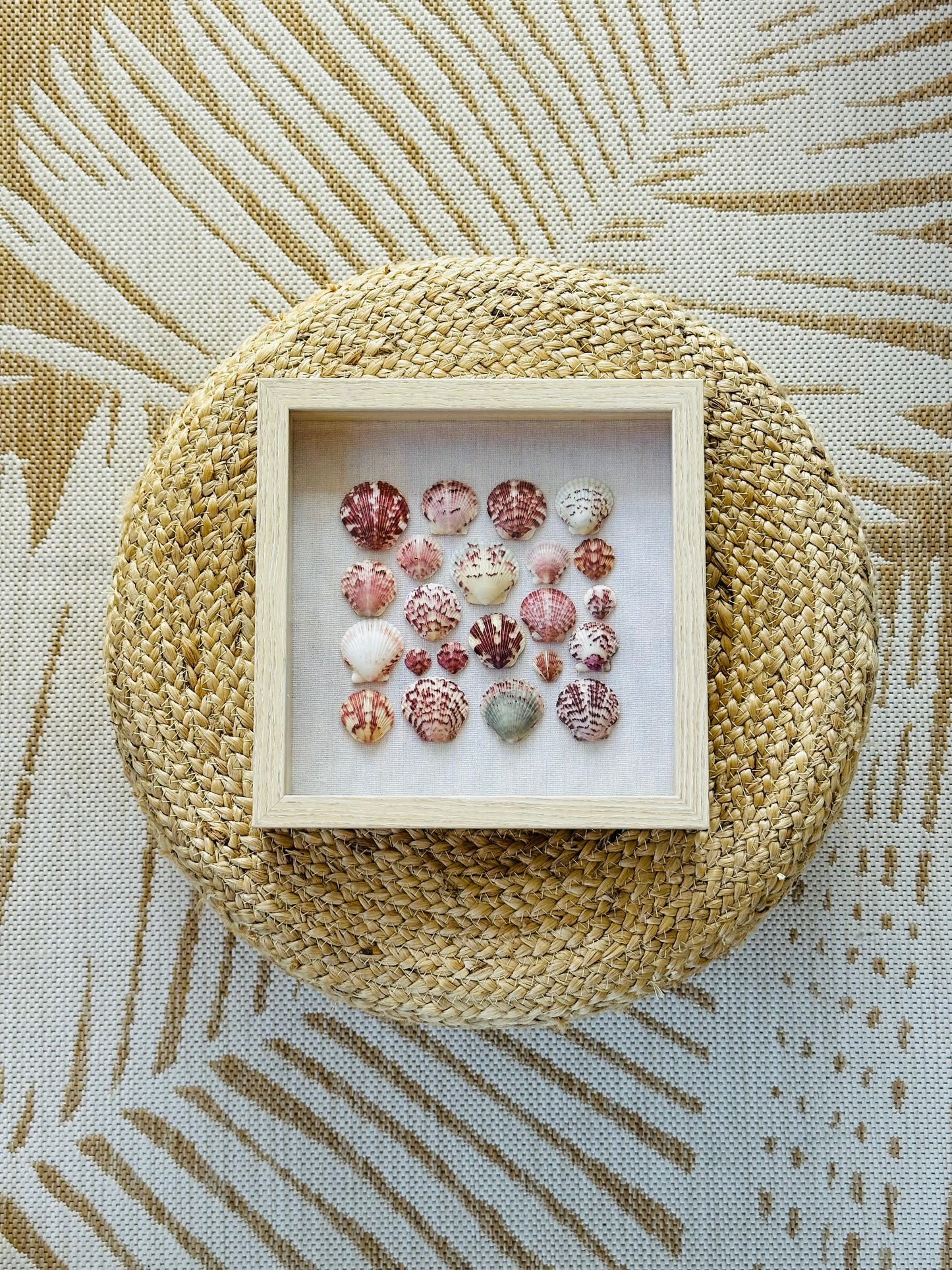 9x9 Square Scallop Shadow Box