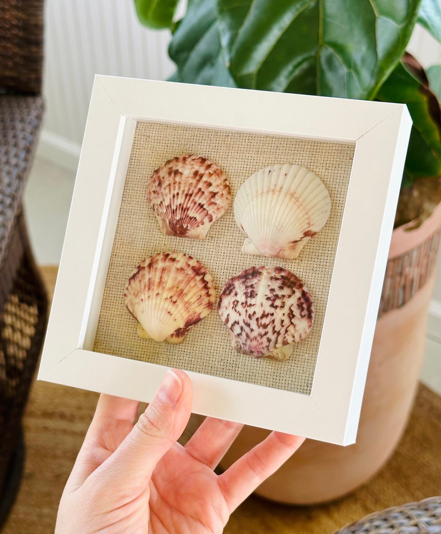 5x5 Scallop Shadow Box