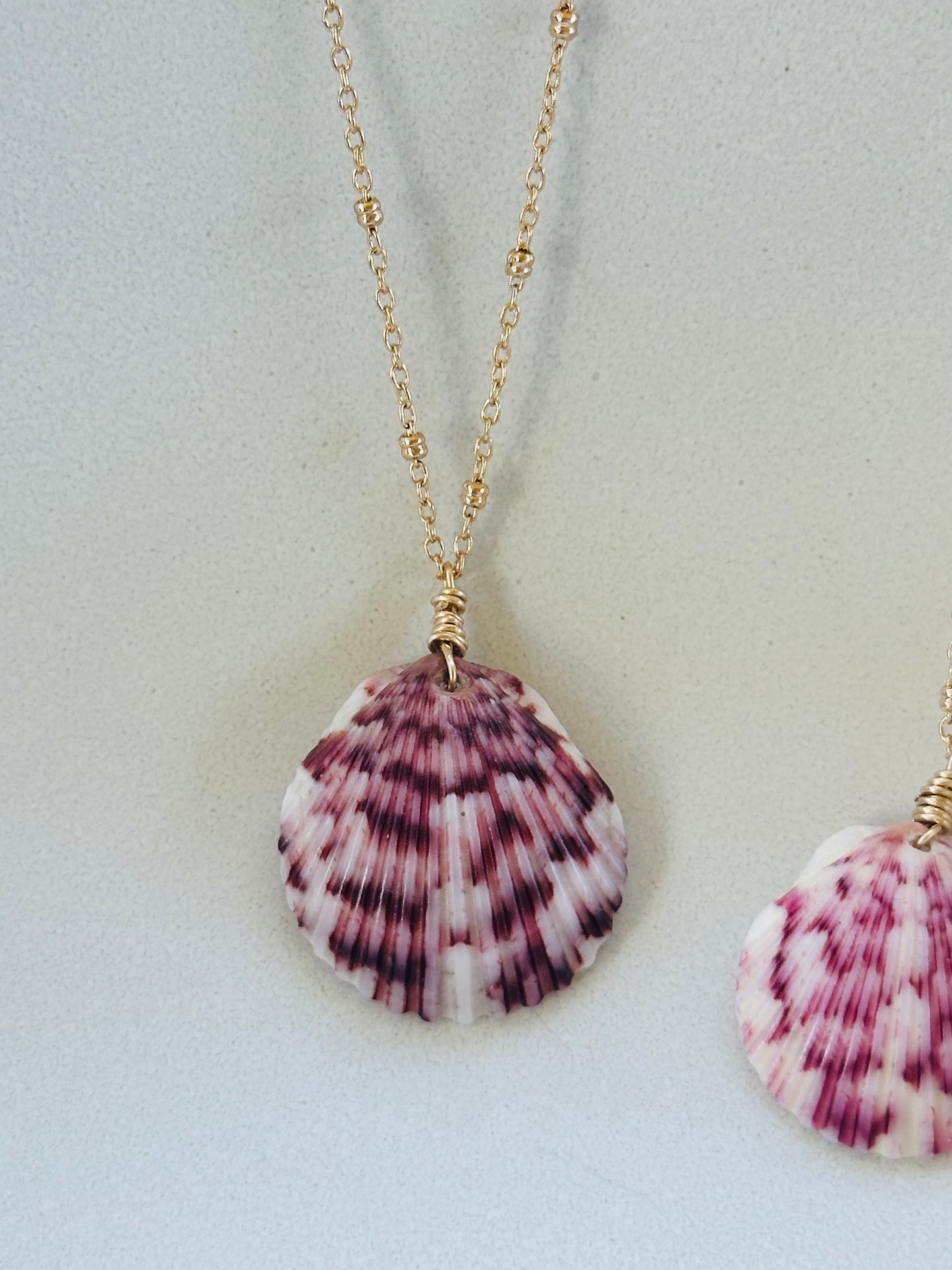 Scallop Shell on Gold Filled Chain