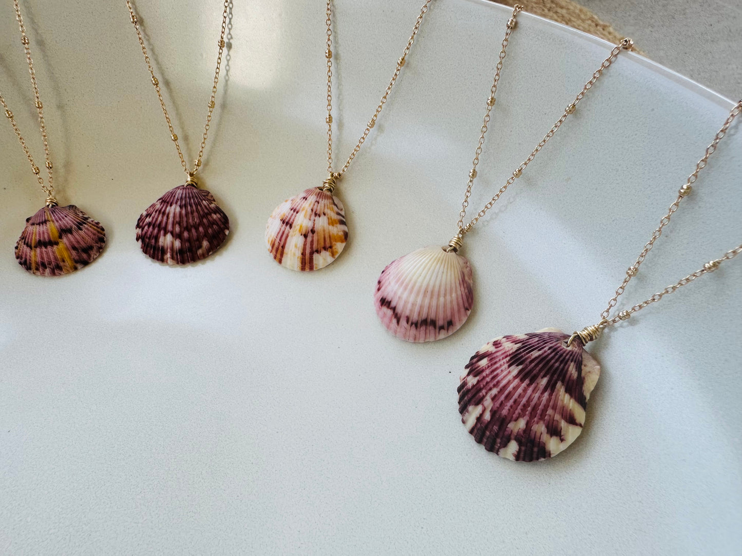 Scallop Shell on Gold Filled Chain