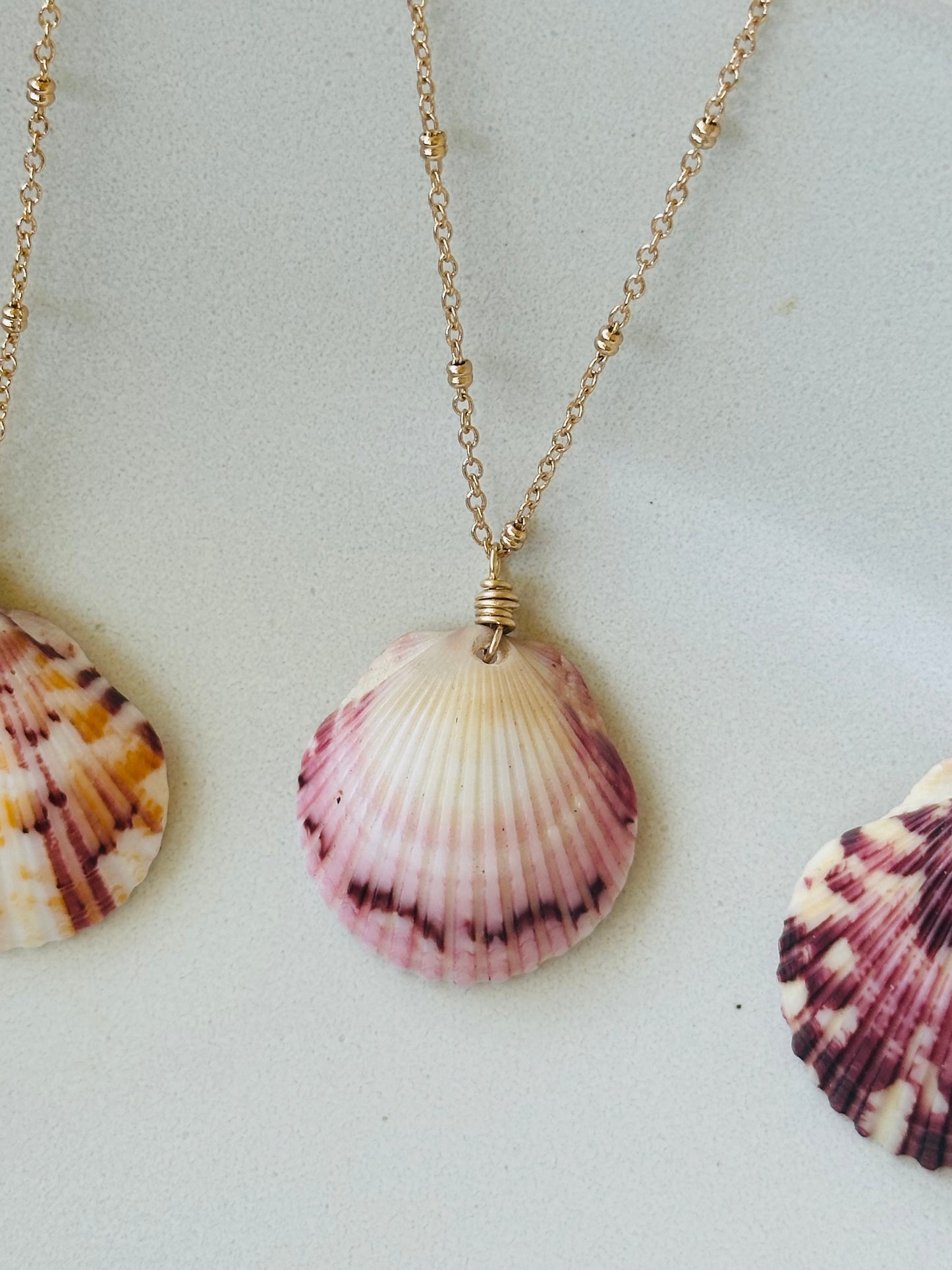 Scallop Shell on Gold Filled Chain