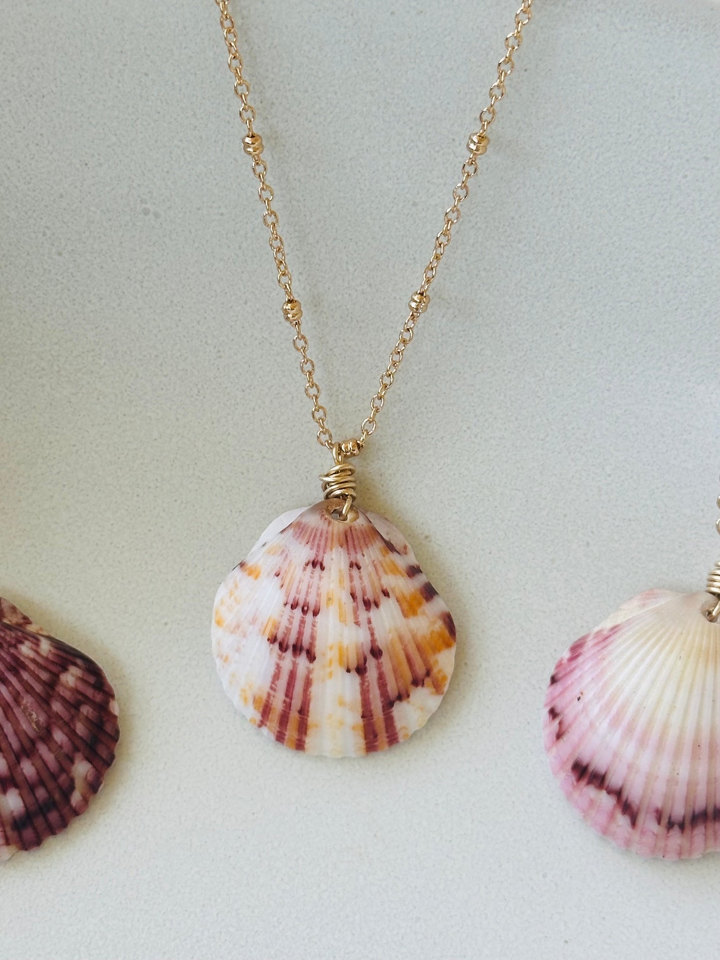 Scallop Shell on Gold Filled Chain