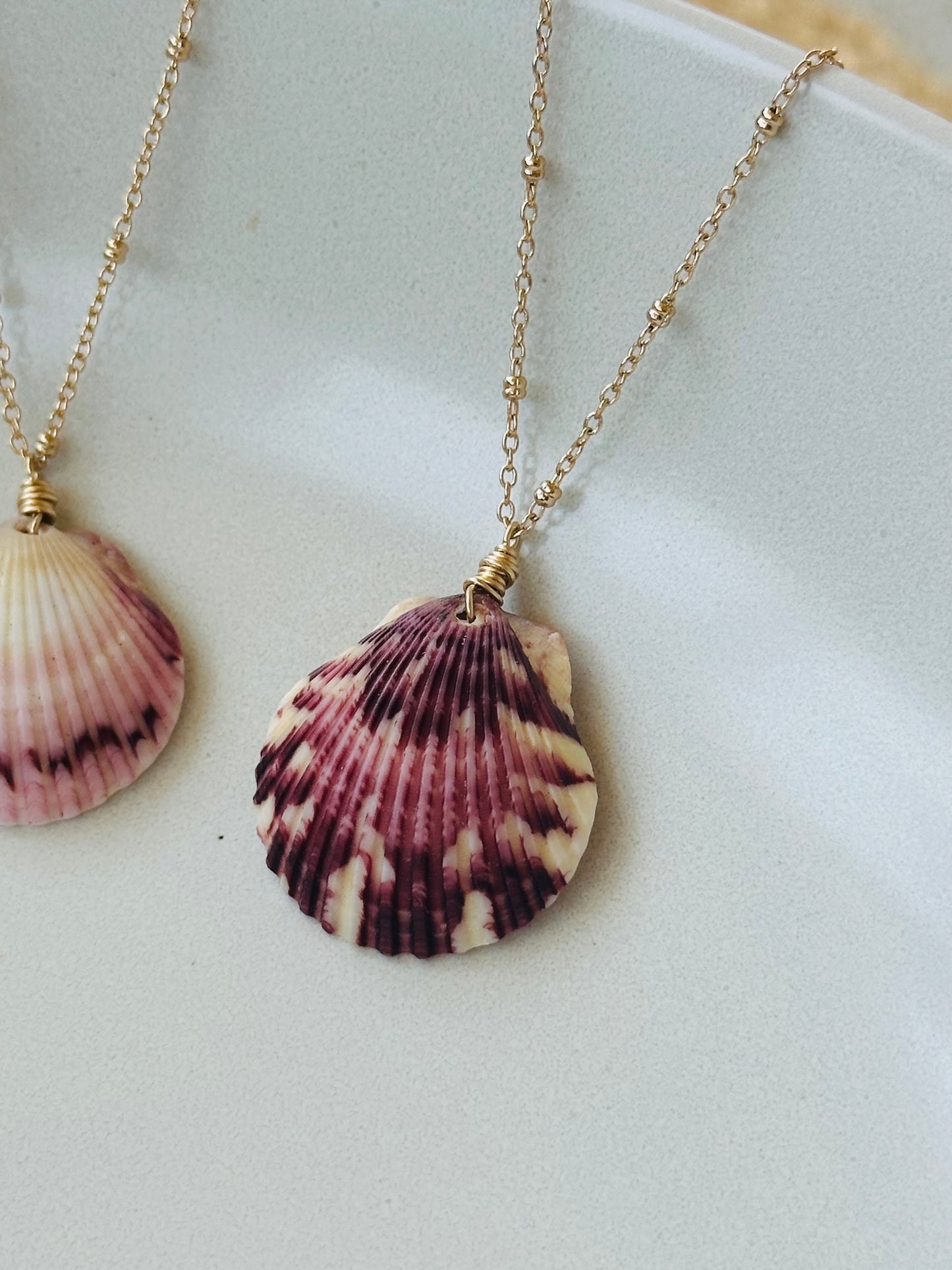 Scallop Shell on Gold Filled Chain