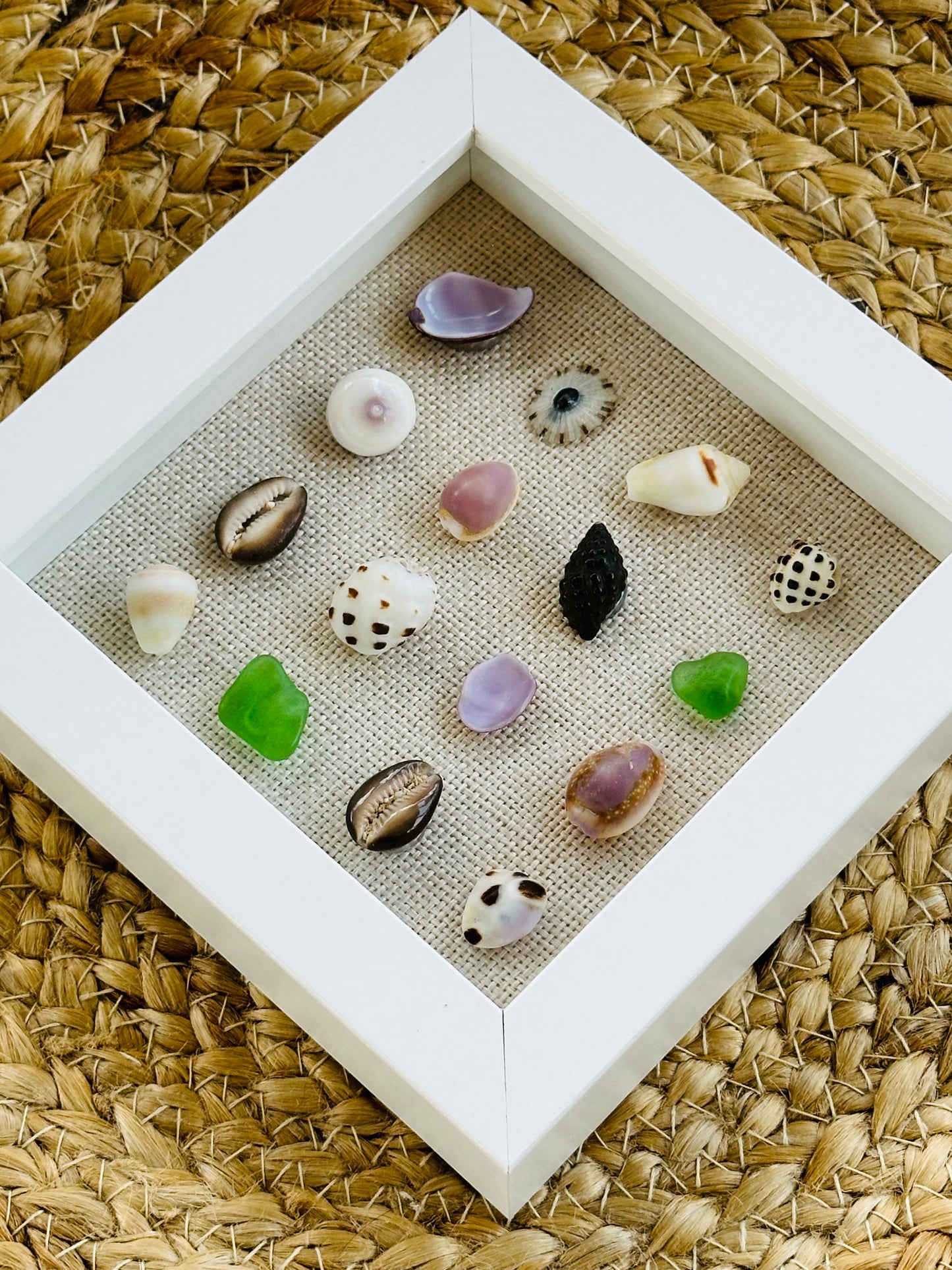 8x8 Hawaii Green Shadow Box