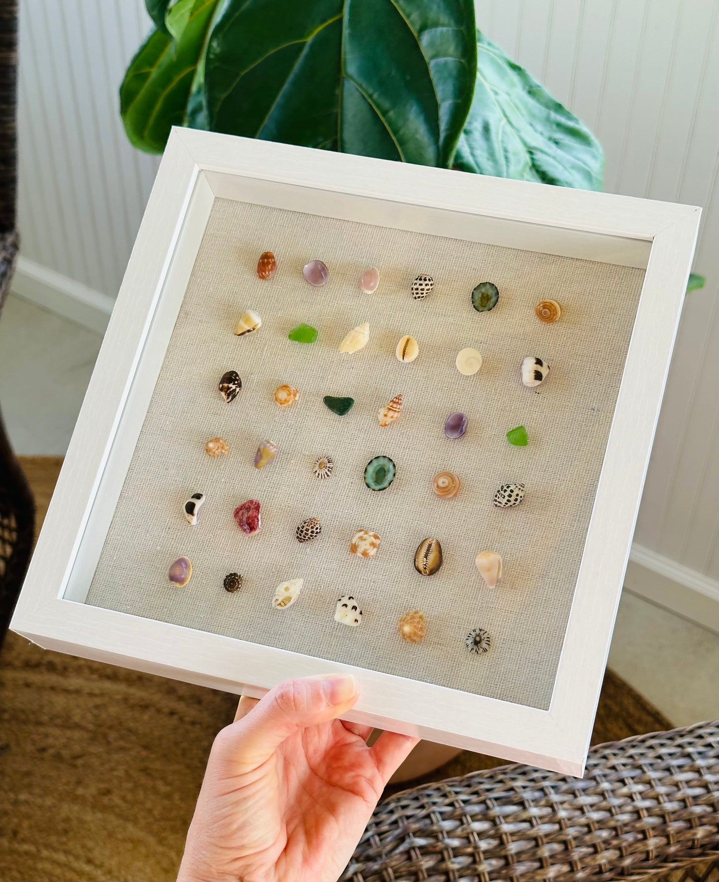 9x9 Hawaii Micro Shell Shadow Box