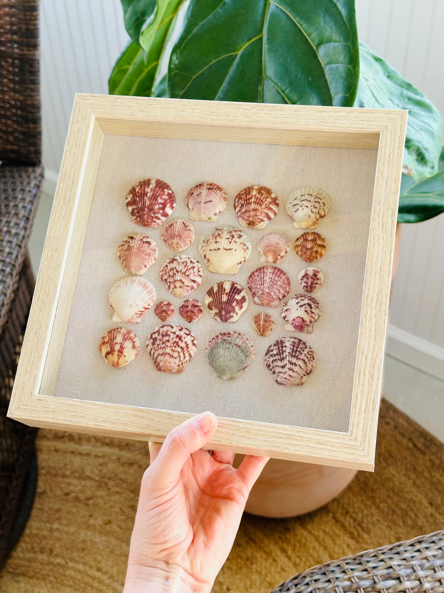 9x9 Square Scallop Shadow Box