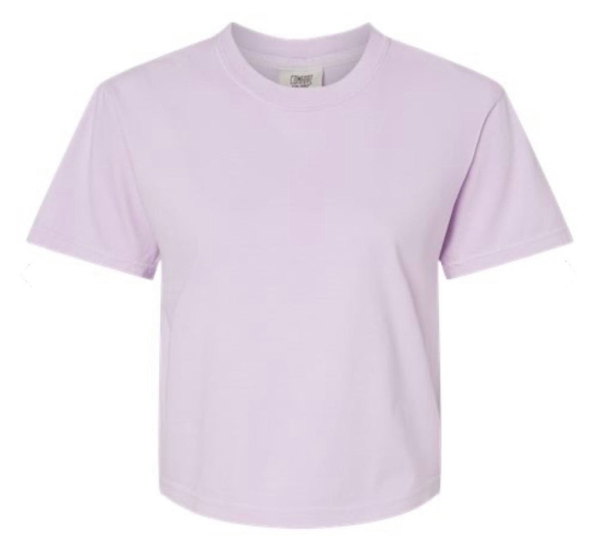 Purple Colored Sea Shell Cropped Tee