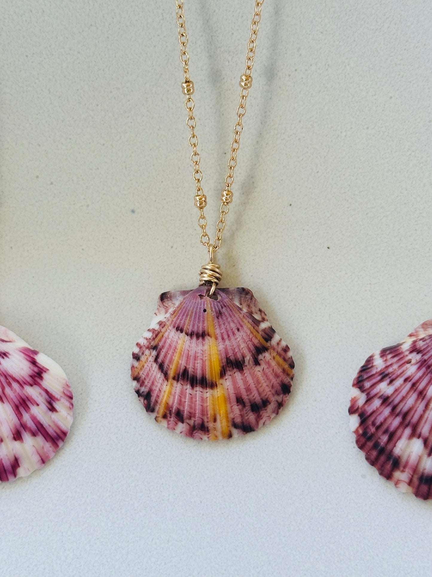 Scallop Shell on Gold Filled Chain